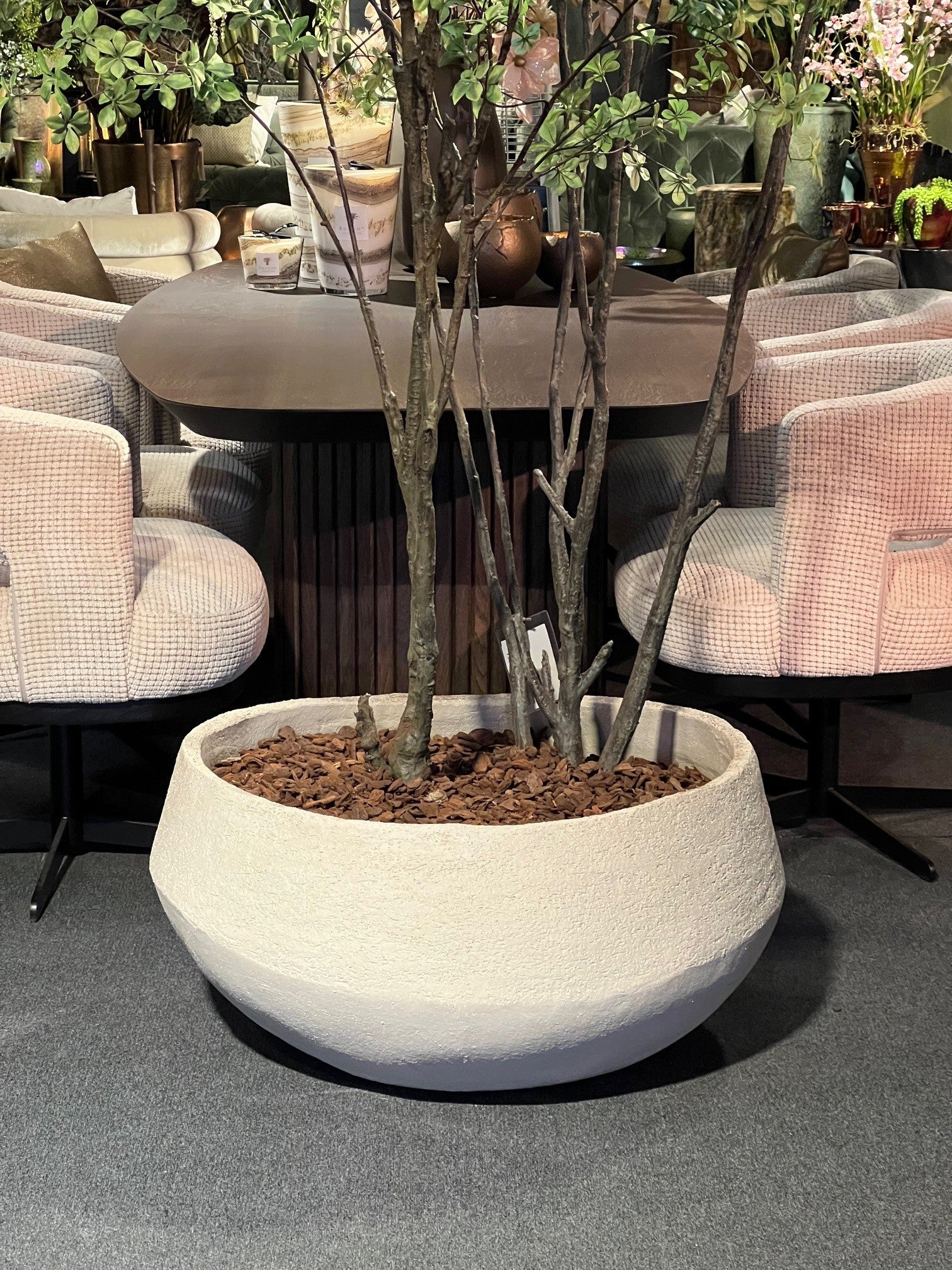 HS178 70-40 Barbados organic Outdoor