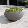 HS178 70-40 Barbados organic Outdoor